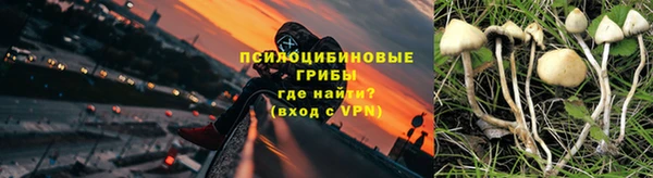 прущий лед Алзамай