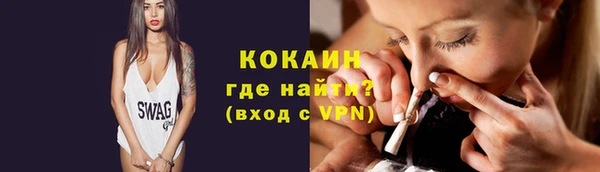 прущий лед Алзамай