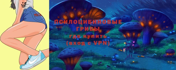 ALPHA-PVP Алексеевка