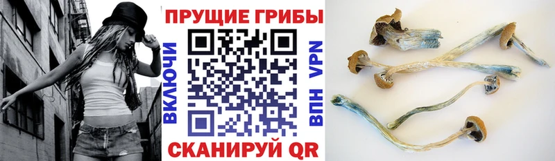 Галлюциногенные грибы мухоморы  Данков 