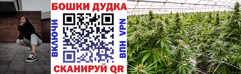 Канабис Amnesia  Данков 
